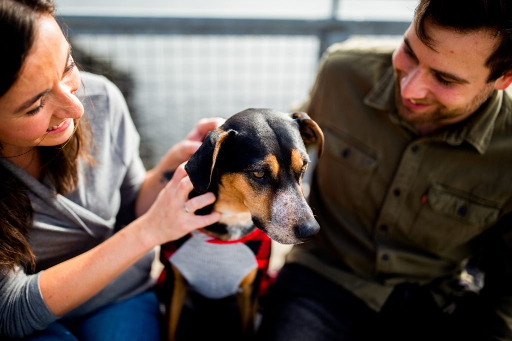 Man using the pet test with his new girlfriend