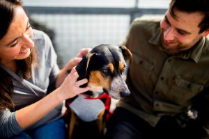 Man using the pet test with his new girlfriend