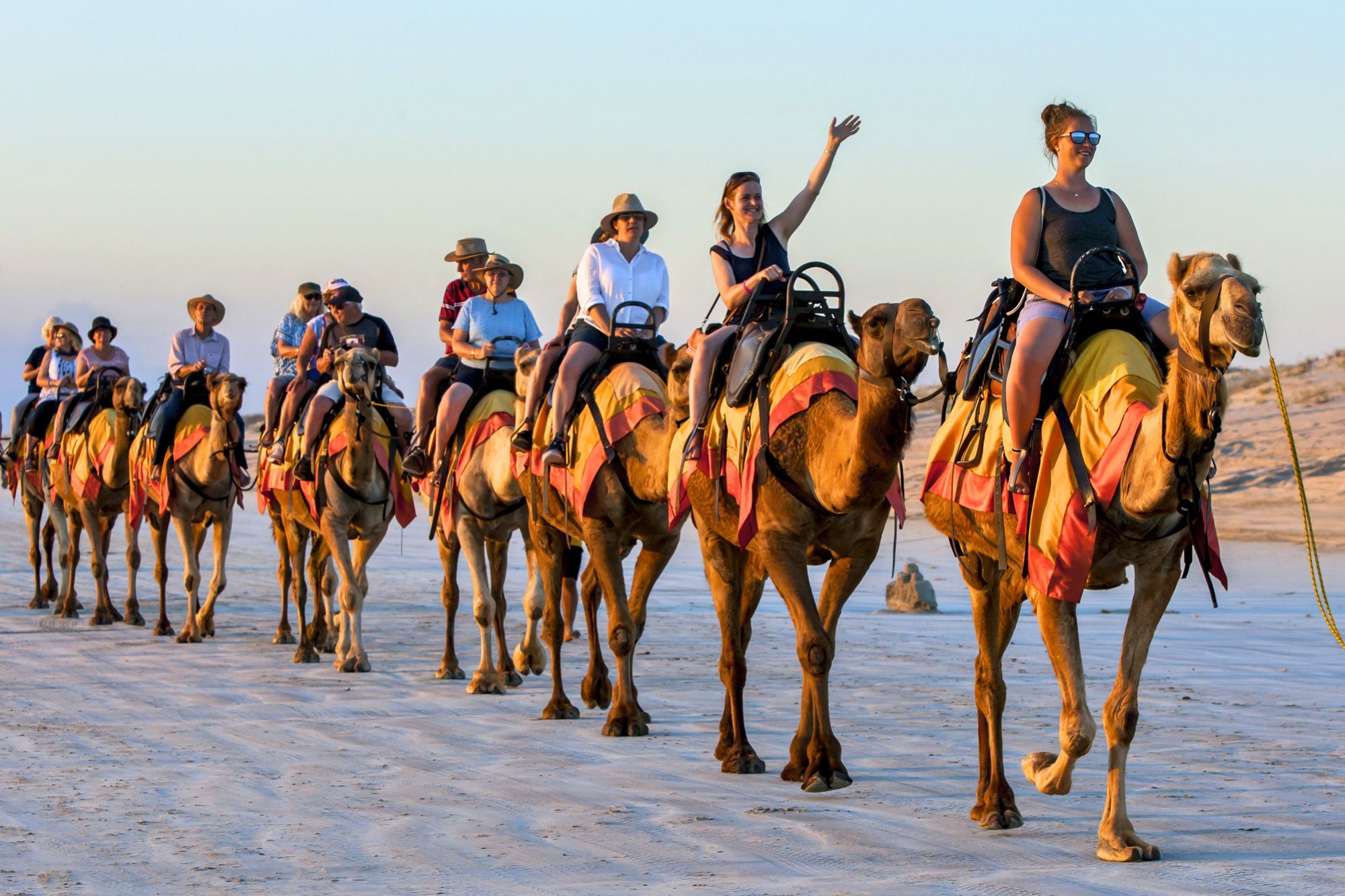 A singles travel group on vacation in Egypt riding camels in a line through the desert.